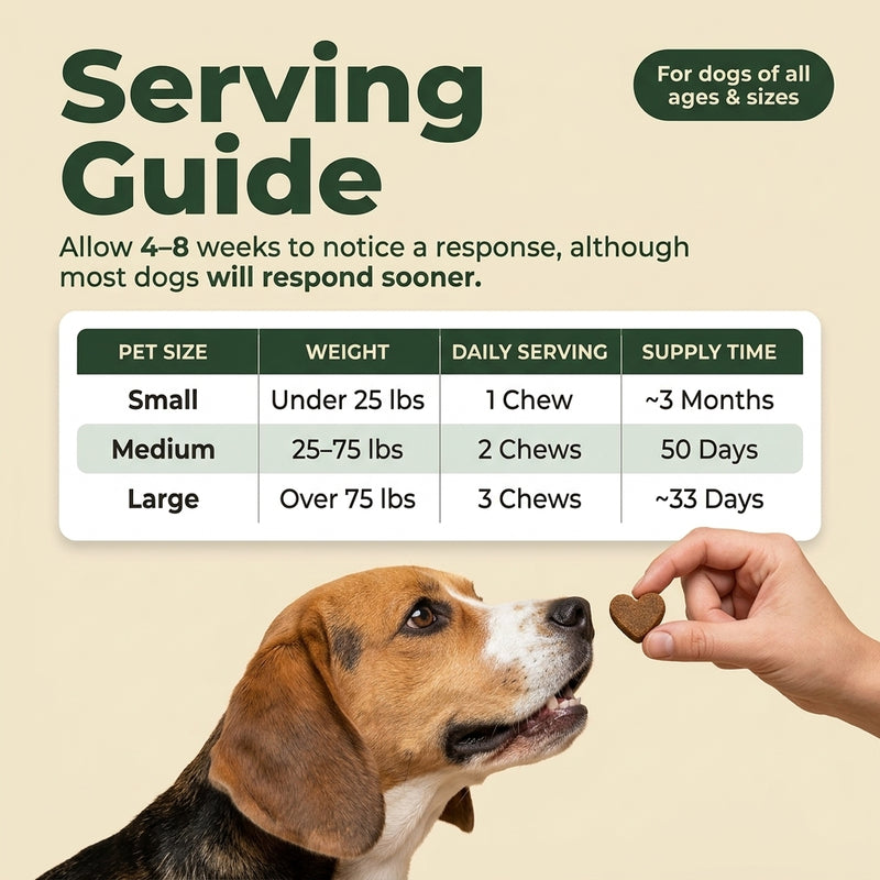 BarkWell Allergy & Immune Defense Chews for Dogs - 100ct