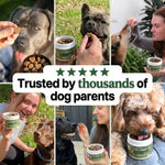 BarkWell Allergy & Immune Defense Chews for Dogs - 100ct