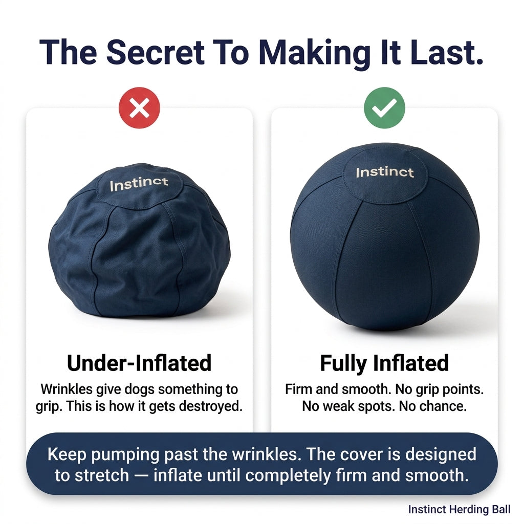 Instinct Drive Ball