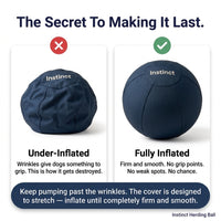 Instinct Drive Ball