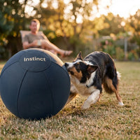 Instinct Drive Ball